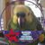 David Restuccia's profile image