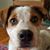 Angela Powell Garrett's profile image