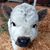 Molly Schaefer's profile image