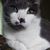 Pamela Shaw's profile image