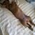 Tammy Holman's profile image