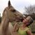 Melissa Amyx's profile image