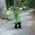 Karen Lynne Hodgson's profile image
