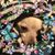 Vanessa Konopacki's profile image