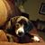 Tami Magoon's profile image