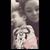 Felicia Calles's profile image