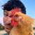Nick Ciliberti's profile image