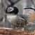 Todd Seehus's profile image