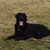 Doug Gray's profile image