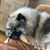 Pam Lynch Wendland's profile image