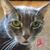 Lori Ann Sartario Jones's profile image