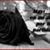 Allison Hernandez's profile image