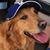 Shane Dearman's profile image