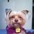 Raul Ocampo's profile image