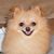 Bobber Charles's profile image