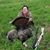 Nancy Laurendeau's profile image