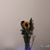 GrandmaKeith Marcella's profile image