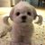 Carol Thebeau Finch's profile image