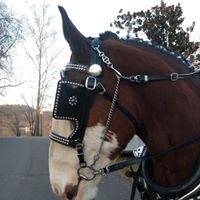 Brian Thomas Allmoslecher's profile image