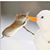 Kerry Cozens's profile image