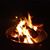Pam Lawrence Schroeder's profile image