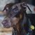 Michelle Caissie Sbardella's profile image