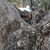 Randy Woodard's profile image