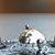 Linda Linnemeyer's profile image