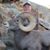 Timothy Craig Nelson's profile image