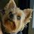 Millie Esterline's profile image