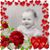 Peggy Skelton's profile image