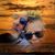 Valerie L. Ammon McAfee's profile image
