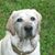 Robert Hale's profile image
