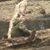 John Earnest's profile image