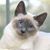 Kitty McBychie's profile image