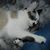 Marsha Emery's profile image