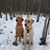 Tanya Brock Currier's profile image