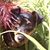 Tina Kelley's profile image
