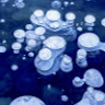 Drea B.'s profile image