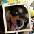 Sandra Campos's profile image