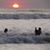 Roxanne Runge's profile image