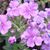 Mariana Martinez's profile image