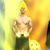 Timothy Solomon's profile image