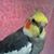 Gilbert Contreras's profile image