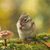 Becky L Mantei's profile image
