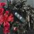 Francisca Mtz's profile image