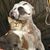 Debi Tshudy's profile image
