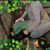 Tina Allie's profile image