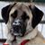Cynthia Neufeld's profile image