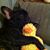 Jennifier Boothe's profile image